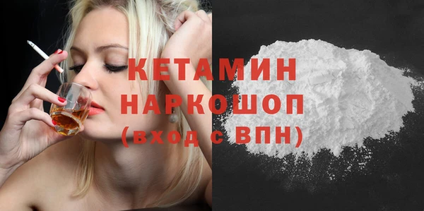 индика Абаза