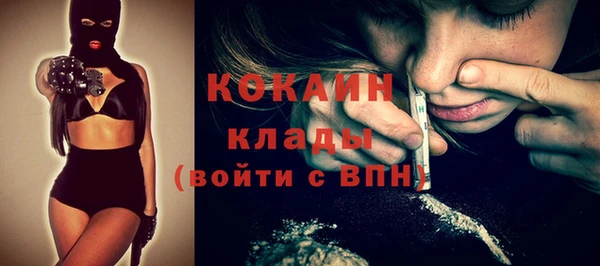 индика Абаза
