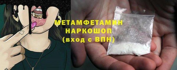 индика Абаза