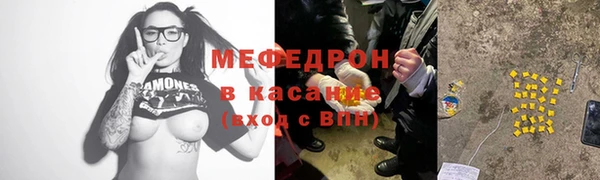 индика Абаза