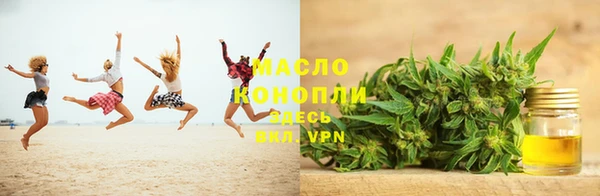 индика Абаза