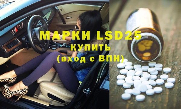 индика Абаза
