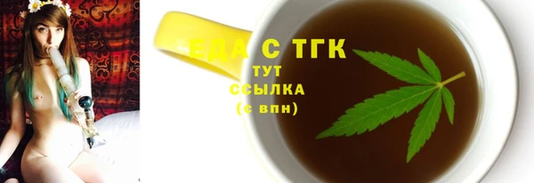 индика Абаза