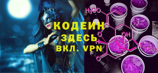 индика Абаза
