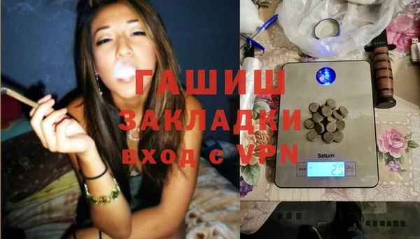 индика Абаза