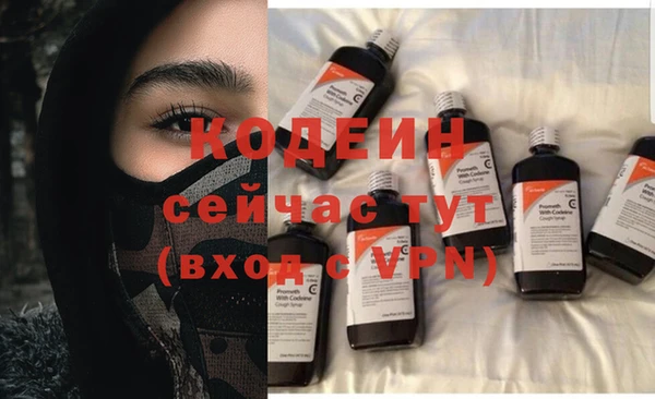 индика Абаза