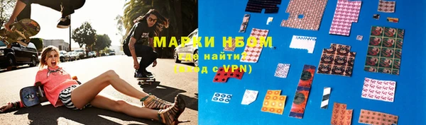 индика Абаза